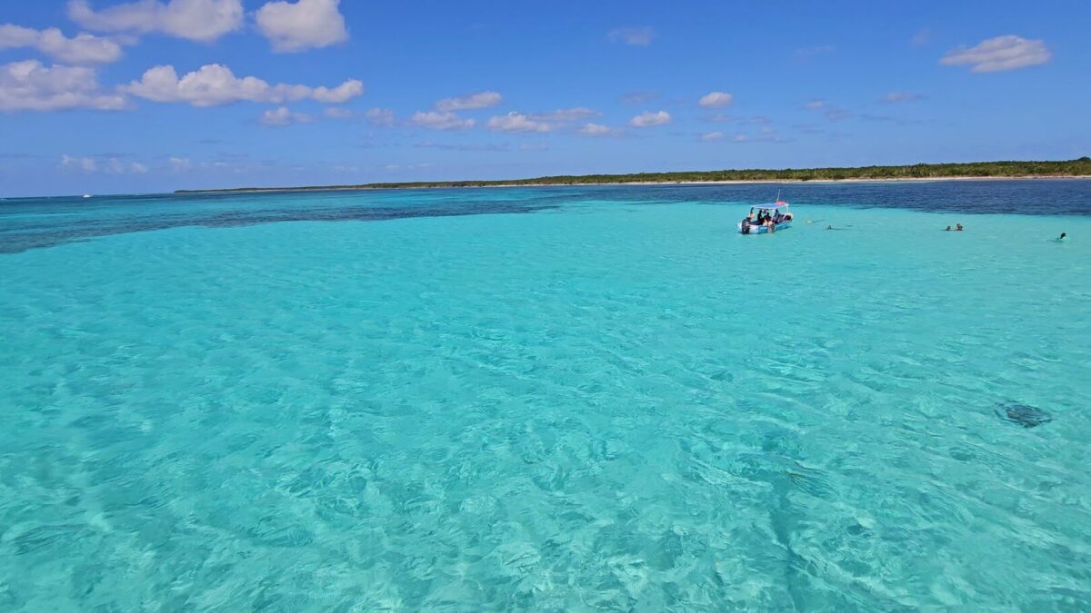 Stelle marine a El Cielo Cozumel
