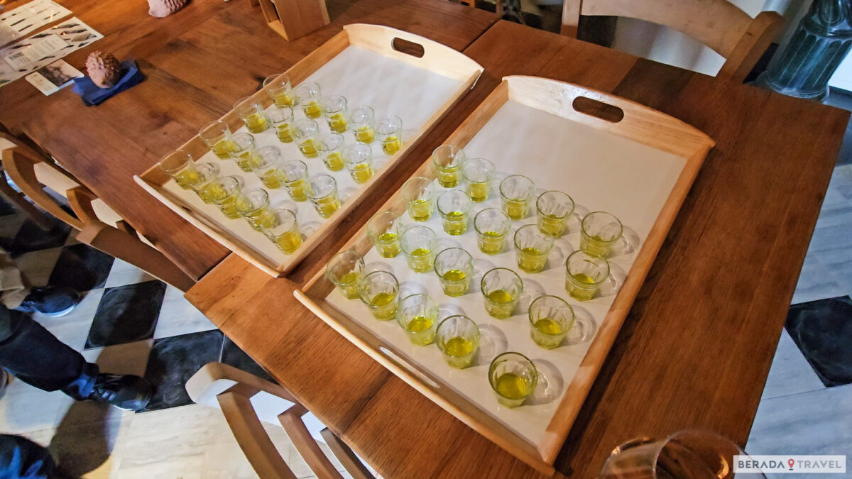Degustazione di oli della regione