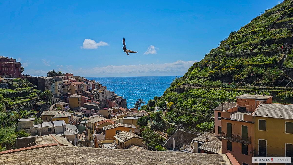 Manarola: vista sui vigneti