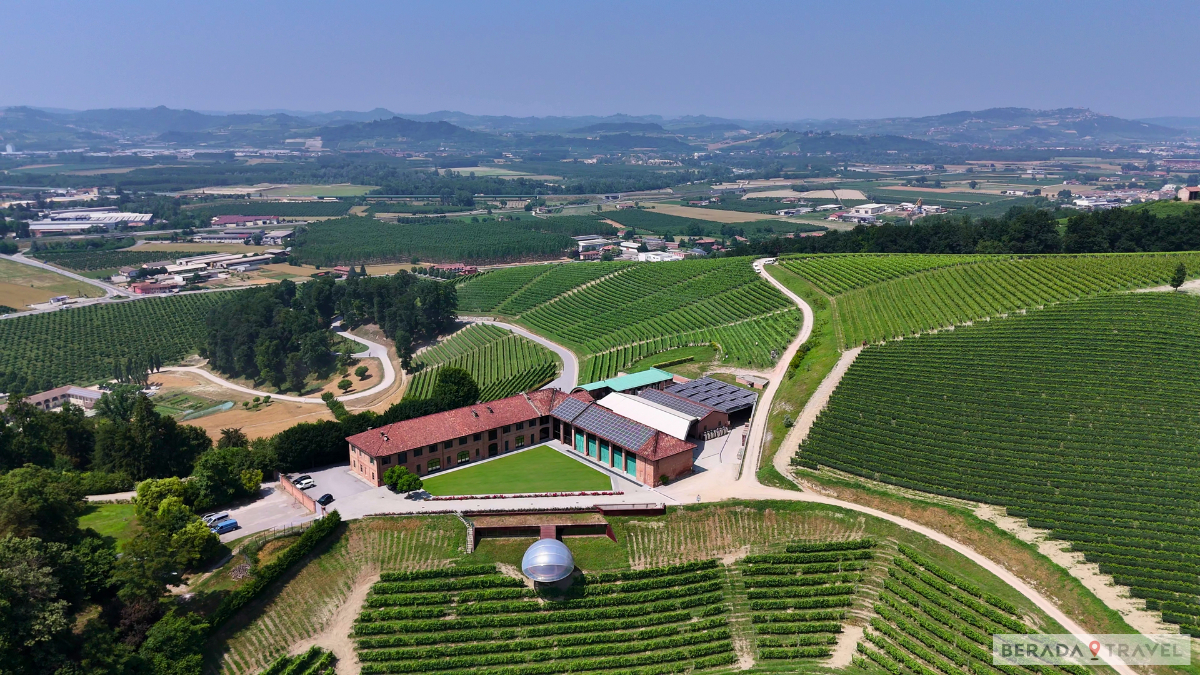 Piemonte: le migliori cantine da visitare