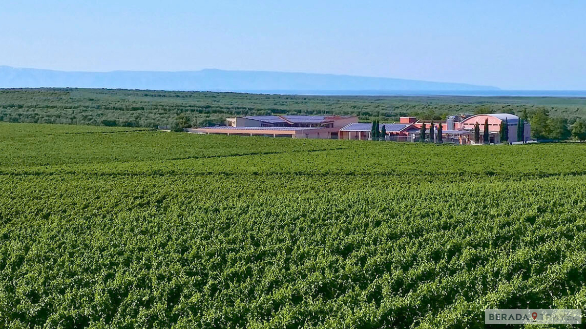 Cantina Rivera